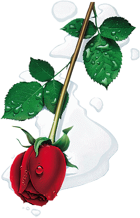 fleurs et nature (69).gif